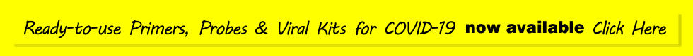 COVID-19 Primers and Viral Kits