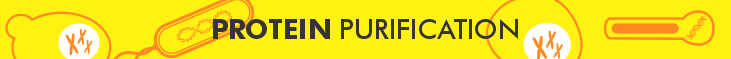 Protein Purification 