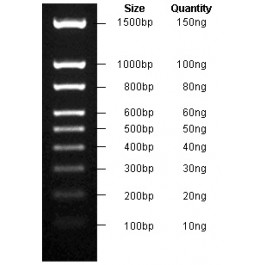 100-1500bp DNA Marker, Original Form