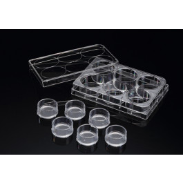EZ-LINE TransInsert cell culture insert, 6-well, 24/case
