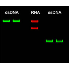Eco-Stain, ready to use (EtBr alternative)