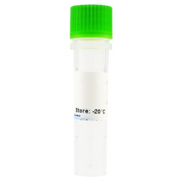 Fast-Taq DNA Polymerase (500U)