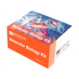 EZ-10 Spin Column Plant Genomic DNA Mini-Preps Kit (50 prep)