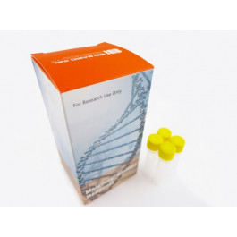 RIPA Lysis and Extraction Buffer II, 1x Strength Solution
