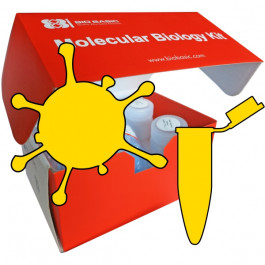 The Complete COVID-19 Extraction and Detection Kit (spin column)