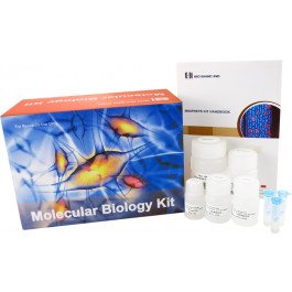 96-Well Plate Bacteria Genomic DNA Miniprep Kit