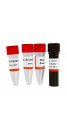 SARS-CoV-2 RT-PCR Detection Kit (COVID-19), 50 Rxns