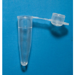 0.2ml PCR Tube, Domed Cap, Sterile, 10X100/Bag