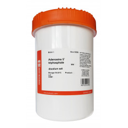 adenosine triphosphate (ATP)