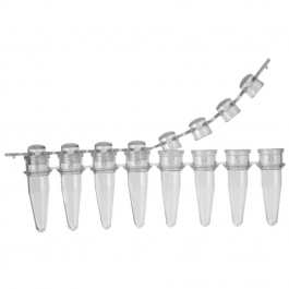 8 Strip 0.2ml PCR Tube with Caps (Domed), Sterile, 120/Bag