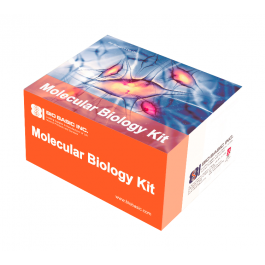 96-Well Plate Plasmid DNA Mini-Preps Kit (Vacuum Based)