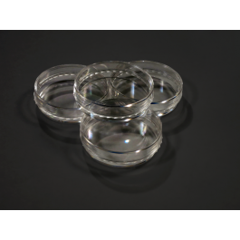 EZ-LINE Cell culture Dishes Untreated, 90X15mm, 500 per case