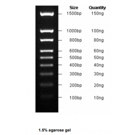 100-1500bp DNA Marker, Ready-to-use