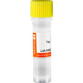 Taq DNA Polymerase (High Purity), 5u/ul