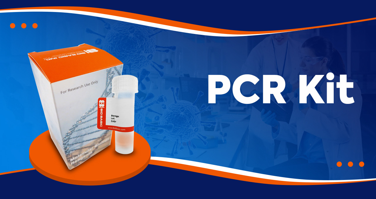 An Initial Guide to PCR Kits and Their Fundamentals 