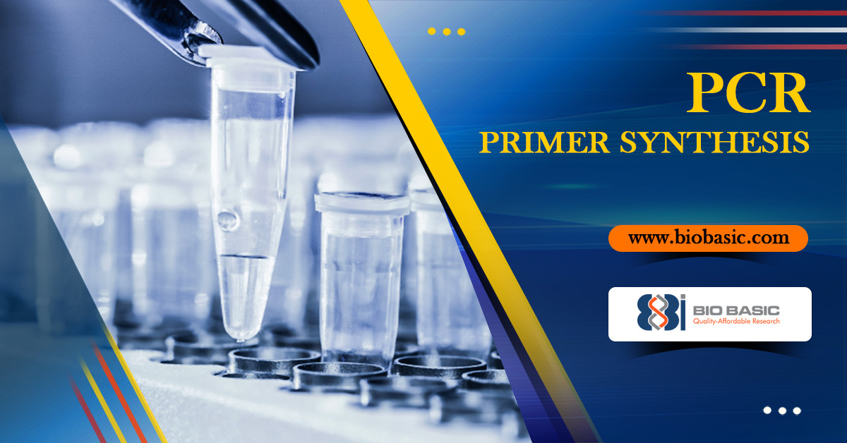 Everything You Need to Know about PCR Primer Synthesis