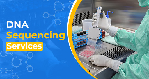 How to Find DNA Sequencing Services At the Best Cost? 