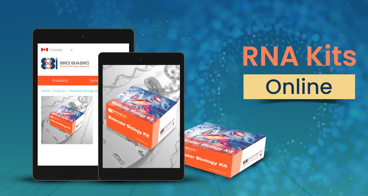 High-quality Viral RNA Purification Kits| RNA Kits Online