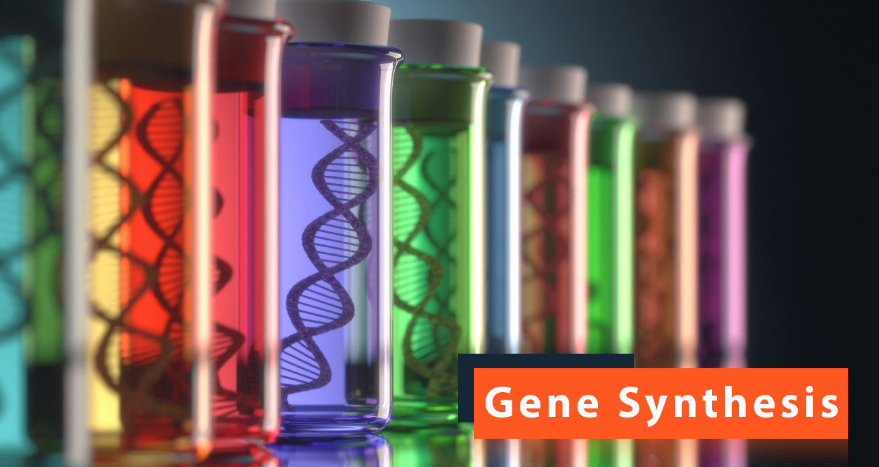 Everything You Ought to Know About Gene Synthesis Methods