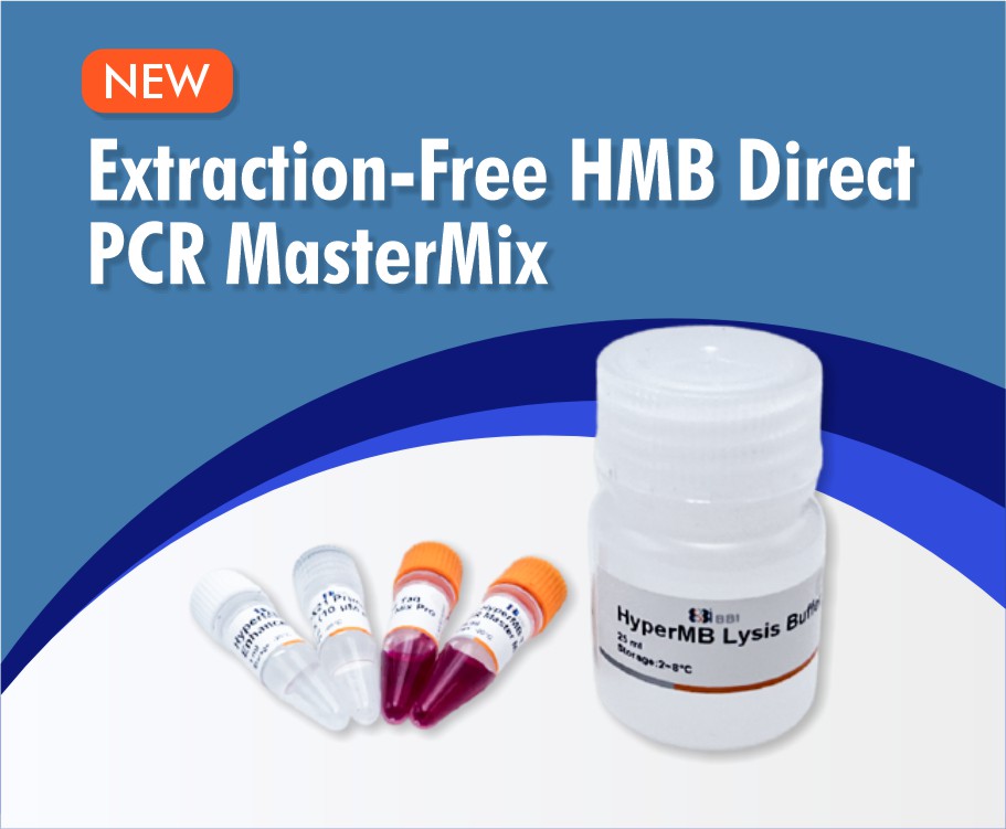 Extraction-Free HMB Direct PCR MasterMix