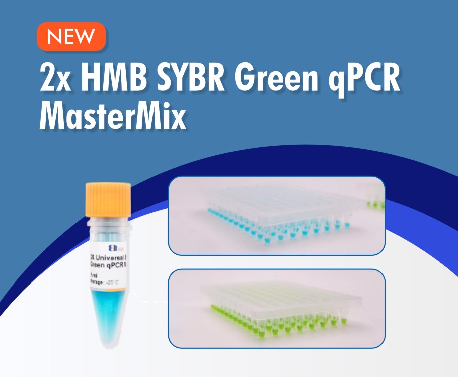 2× HMB SYBR Green qPCR MasterMix