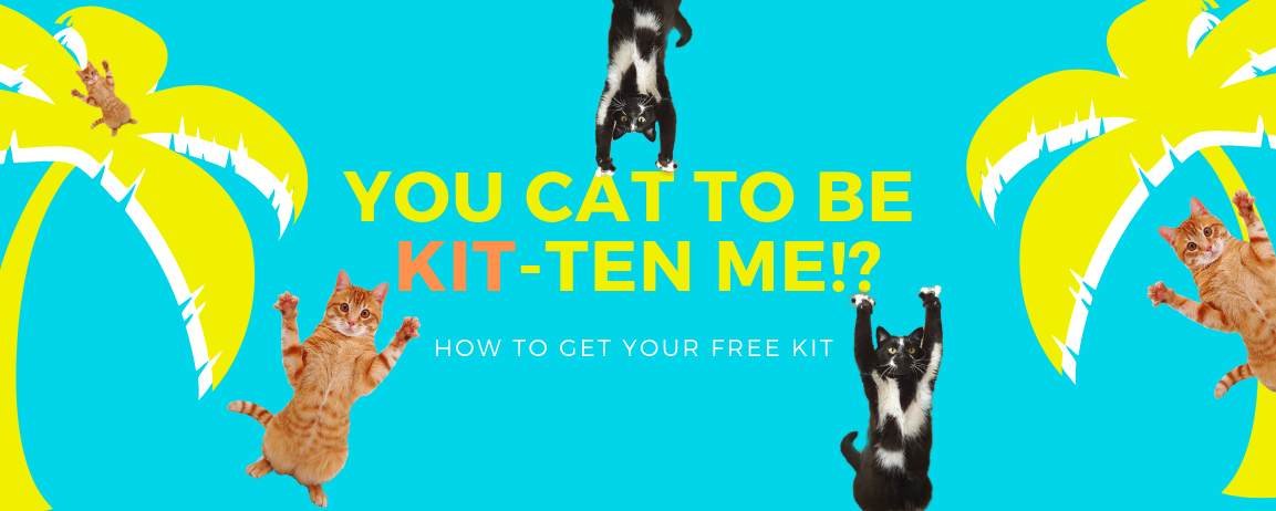 Plasmid DNA Extraction Miniprep Sample Kit