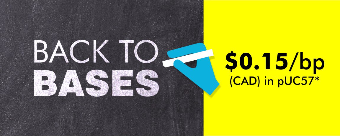 Back to Bases - $0.15/base pair - Gene Synthesis - Delta Plus Variant