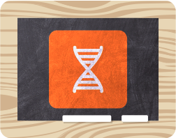 Back to Bases - $0.15/base pair - Gene Synthesis - Delta Plus Variant