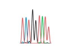 Primer fragment sequencing