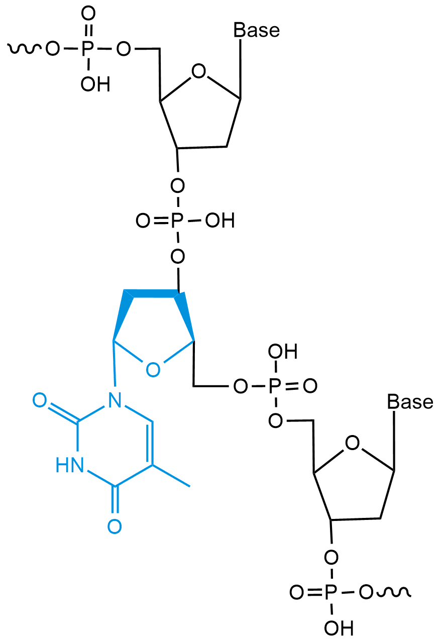 Pricing | Oligo Synthesis | Bio Basic